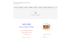 Desktop Screenshot of burmeseburmilla-allevamento.com